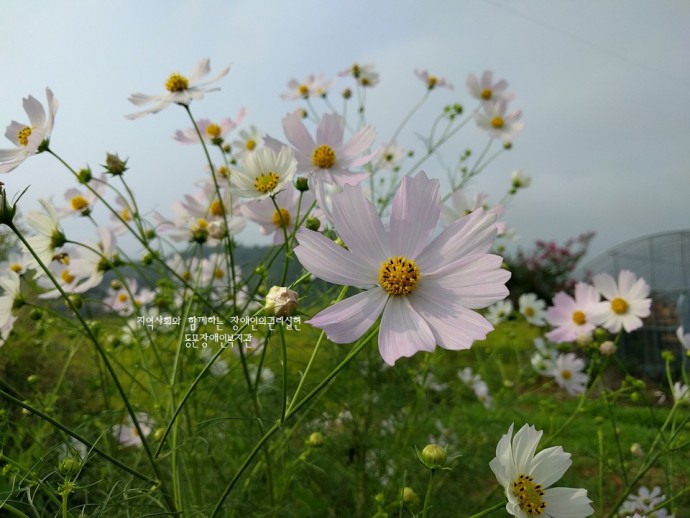 가을이미지대문