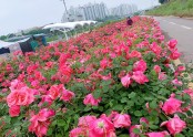 1a594d41caa627c6c8d1985a15e96223_1624609621_303.jpg