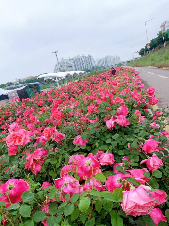 1a594d41caa627c6c8d1985a15e96223_1624609621_303.jpg